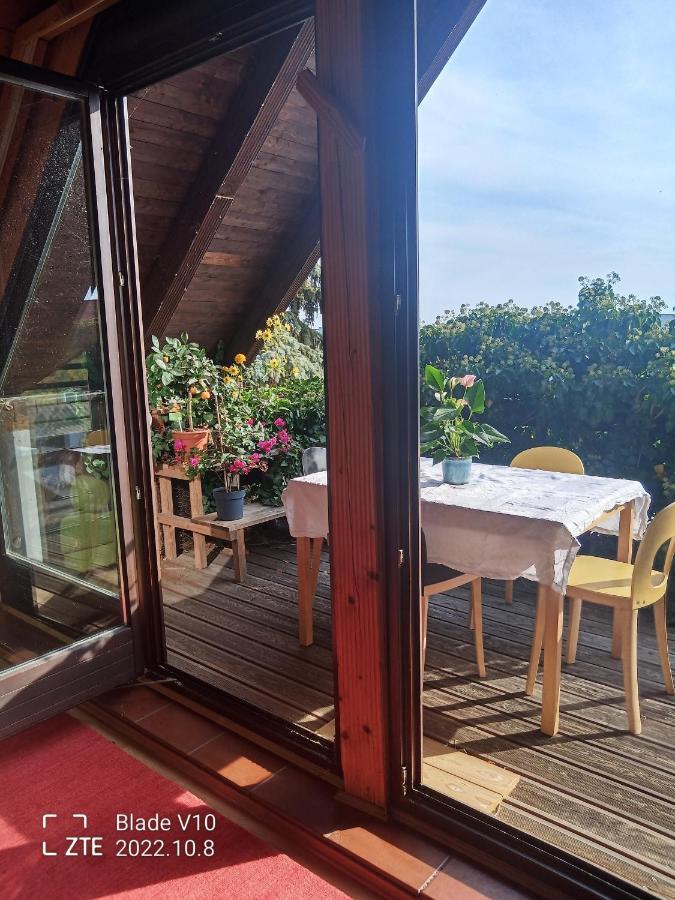 Ferienwohnung Zur Kirschbluete Purbach am Neusiedlersee Exterior photo