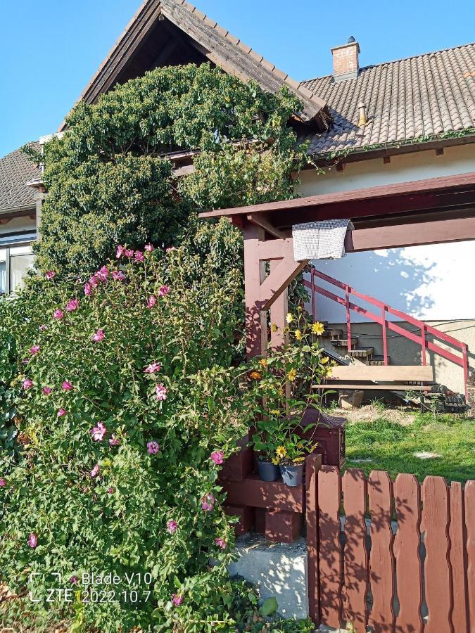 Ferienwohnung Zur Kirschbluete Purbach am Neusiedlersee Exterior photo